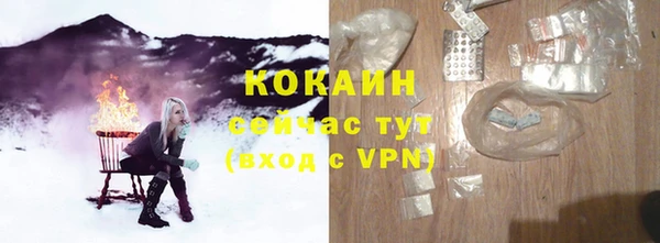 дурь Ладушкин