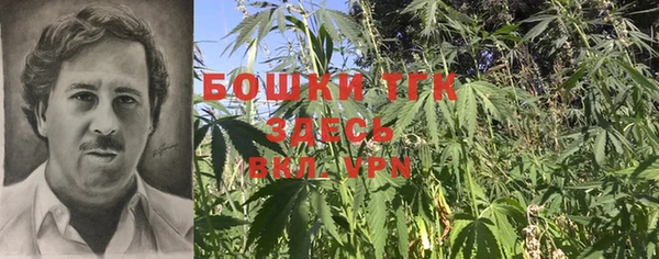 крисы Кулебаки