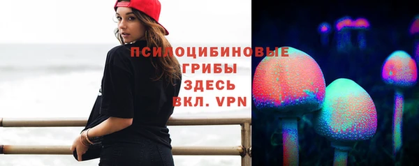 дурь Ладушкин