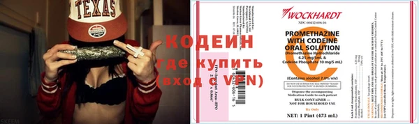 крисы Кулебаки