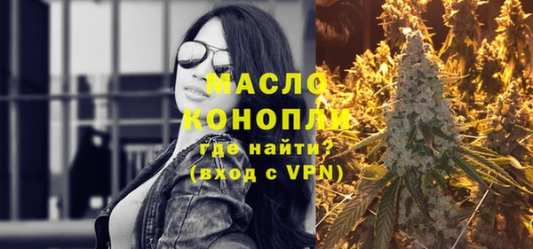 крисы Кулебаки