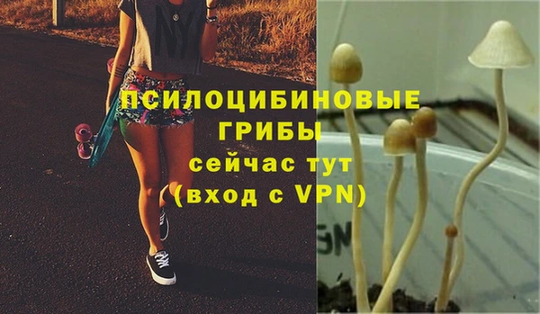 стафф Лабытнанги