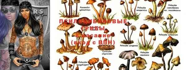 наркотики Лагань