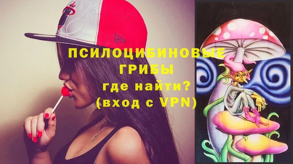 крисы Кулебаки