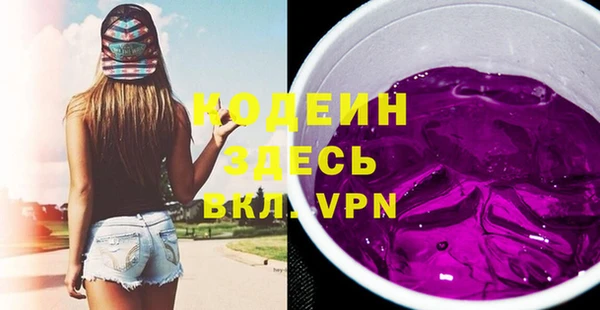 крисы Кулебаки