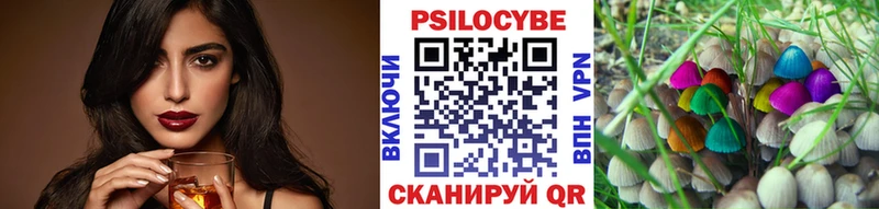 купить   Самара  Псилоцибиновые грибы Psilocybine cubensis 