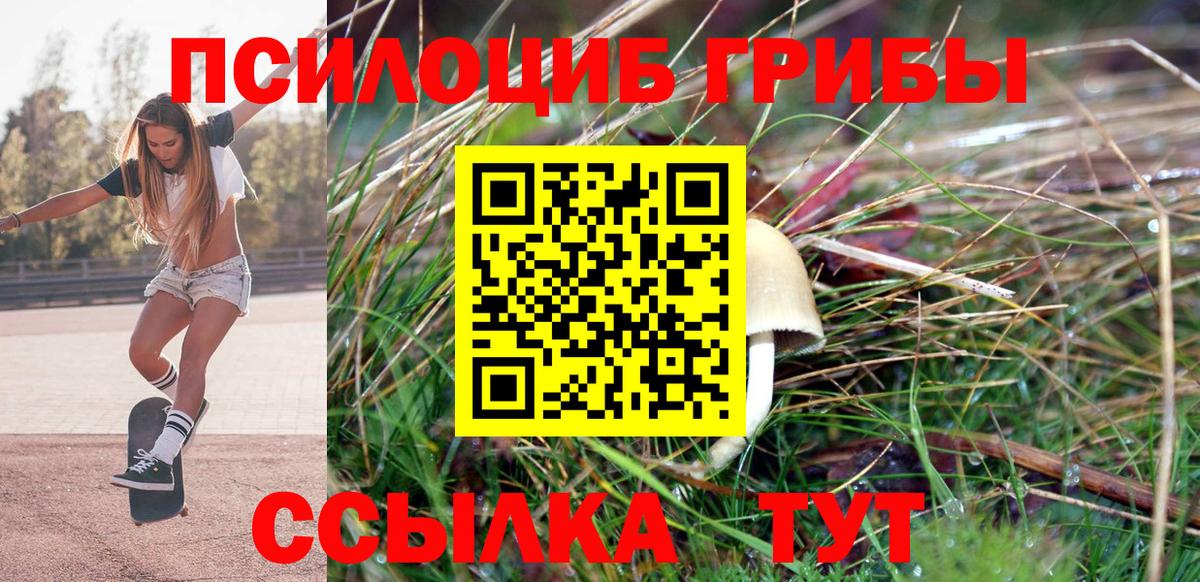Самара  Псилоцибиновые грибы мицелий  наркота  Вход с VPN 